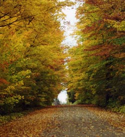 Hawkins Rd., Bancroft, ON